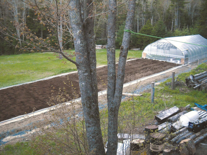 High Tunnel Farming